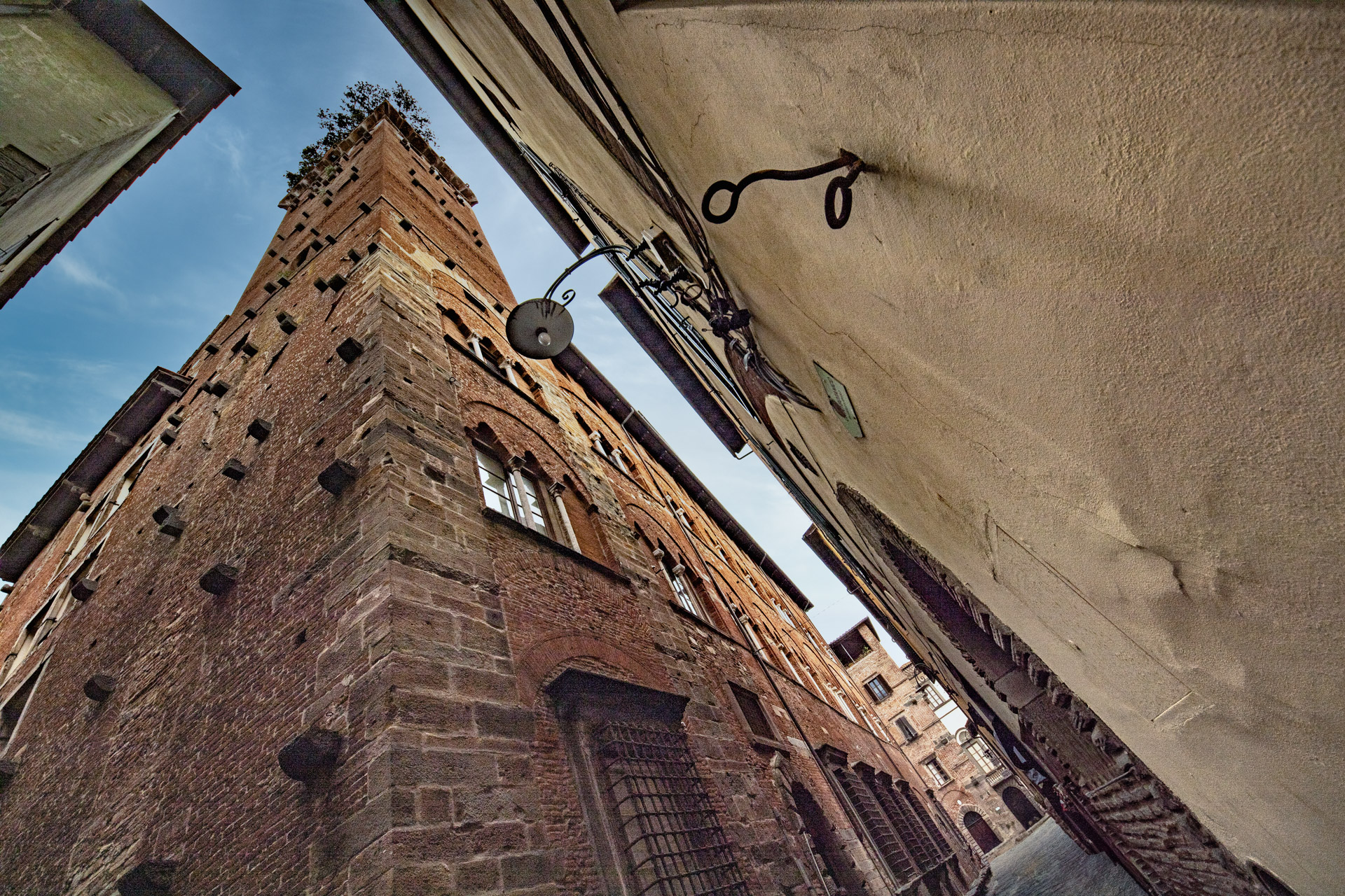 Lucca - Torre Guinigi_2